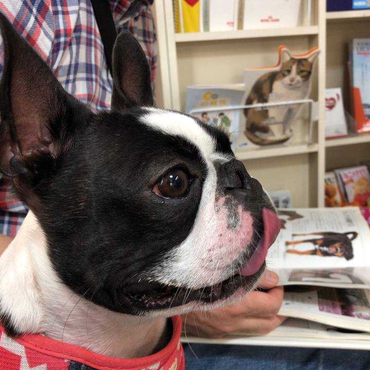 A18aabbb 7f8c 446d 8a25 485d7288c211 1556710136539