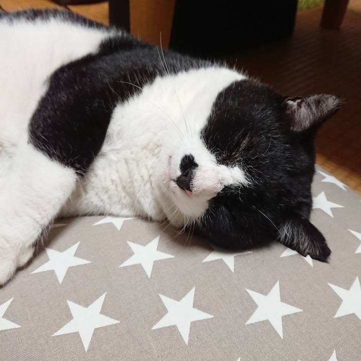 A18af6fa efa2 4a59 96de 1dde3ba5a4a9 1624185742593