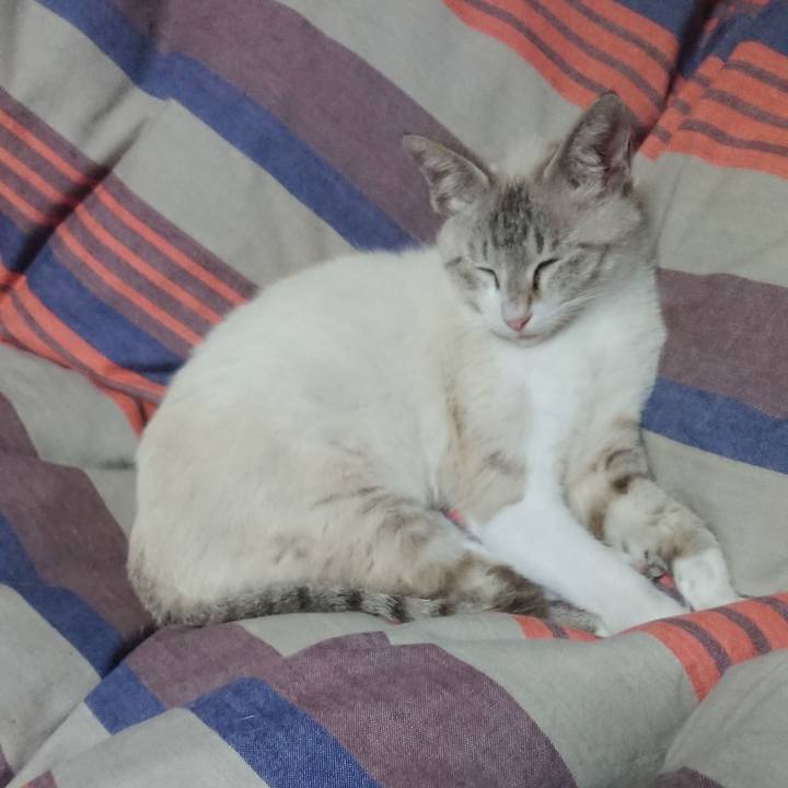 A18b1102 9b10 4ce0 adf5 ac254df0513d 1527261452155