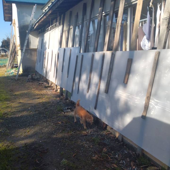 A18b3135 d7f1 4575 b487 5af87cc32f5c 1766123370361