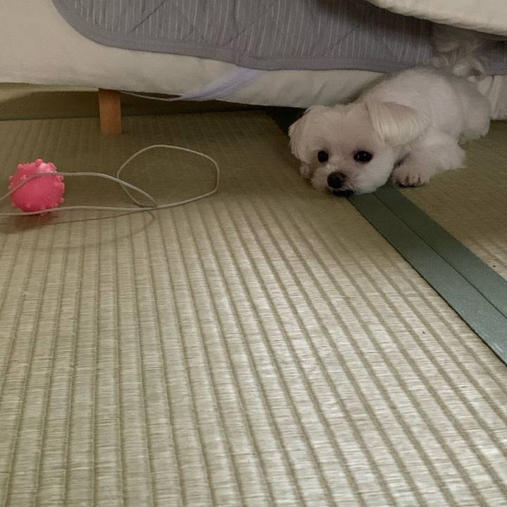 A18b476f b2d9 476c 8380 480f9a034e85 1663212450954