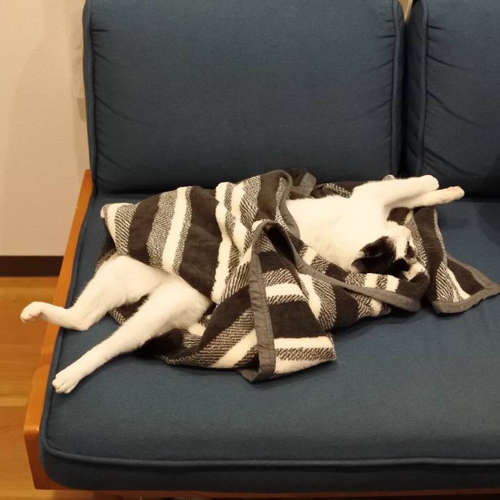 A18b5a83 c784 4858 9f7f 45ba6e364bb5 1518783147201