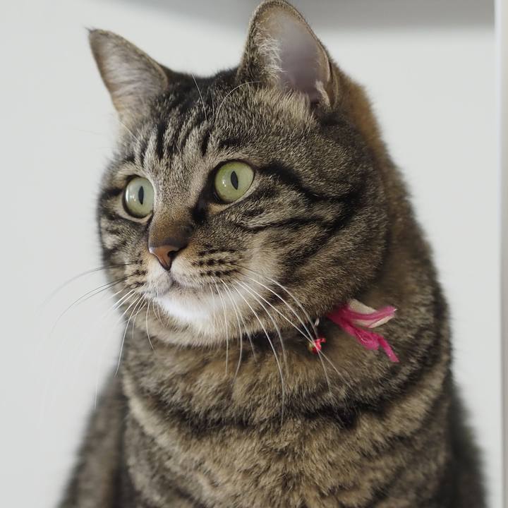 A18b6d52 28b8 4d00 823d 9e86c7a3c19f 1622631098461