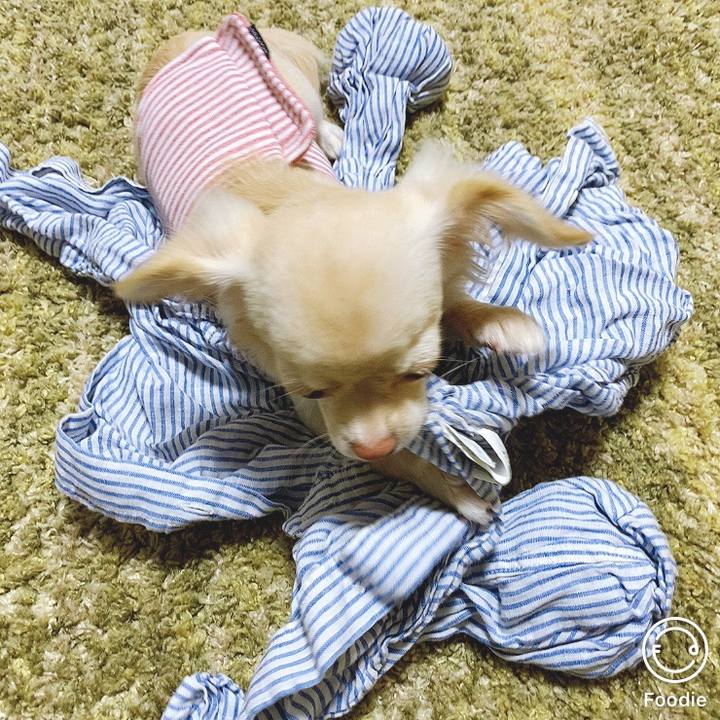 A18b8cc5 6f0b 4400 9a84 badd75e684ee 1598241556475