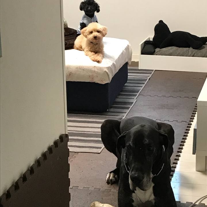 A18b9111 36ca 43eb 8d79 a74fff1845b2 1520201896036