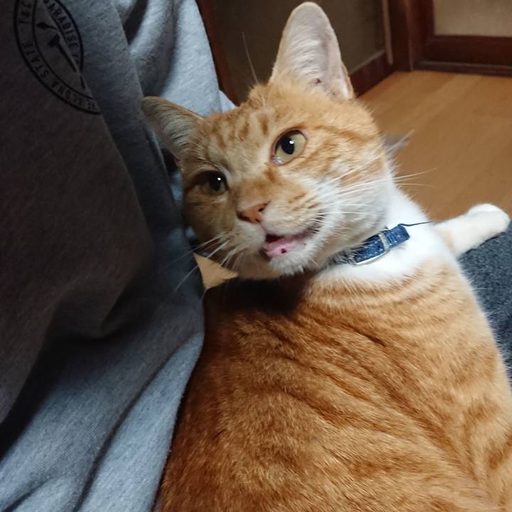 A18b925c 7d3a 45c6 a0c4 6c97b240ea0f 1607113173374