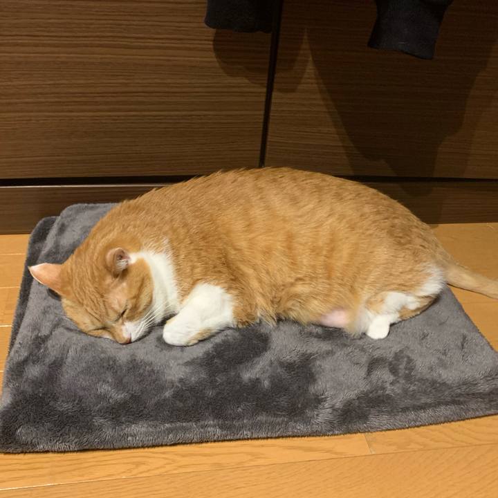 A18bb2e2 628c 441b 8934 39b3d692c101 1741819804927