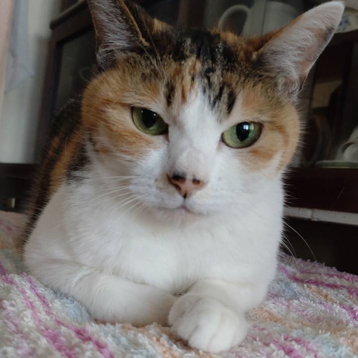 A18bce37 becd 4072 9b61 a329176ac20c 1651271836496