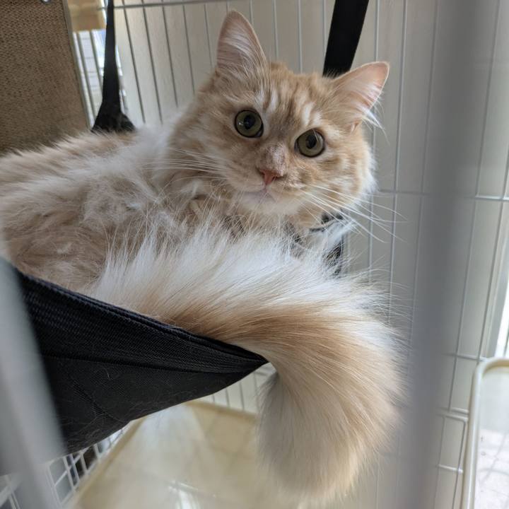 A18bedbc ed41 49c2 bdf6 98b1c75a1d7a 1750056686450