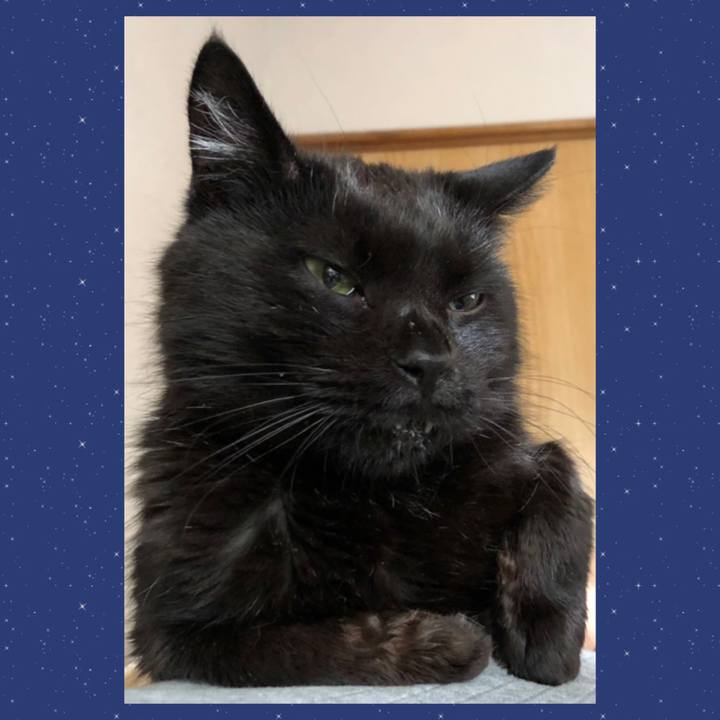 A18c0d25 d8f2 42b3 9ea9 b533ce08b5d7 1623916794918