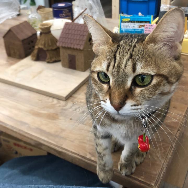 A18c397e 9c4f 4816 bde9 d479297df679 1645102880829