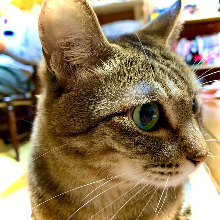 A18c6ce1 fe5f 4a31 81ca c97b0131c6da 1616247799798