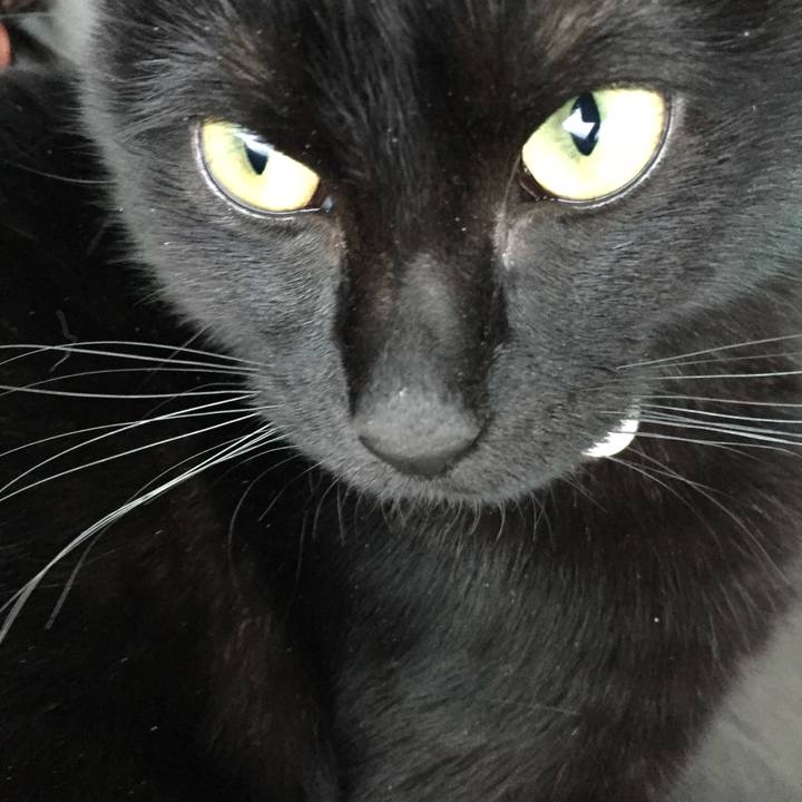 A18c849d 1b02 4748 88e8 37055e3b5ced 1581471331679