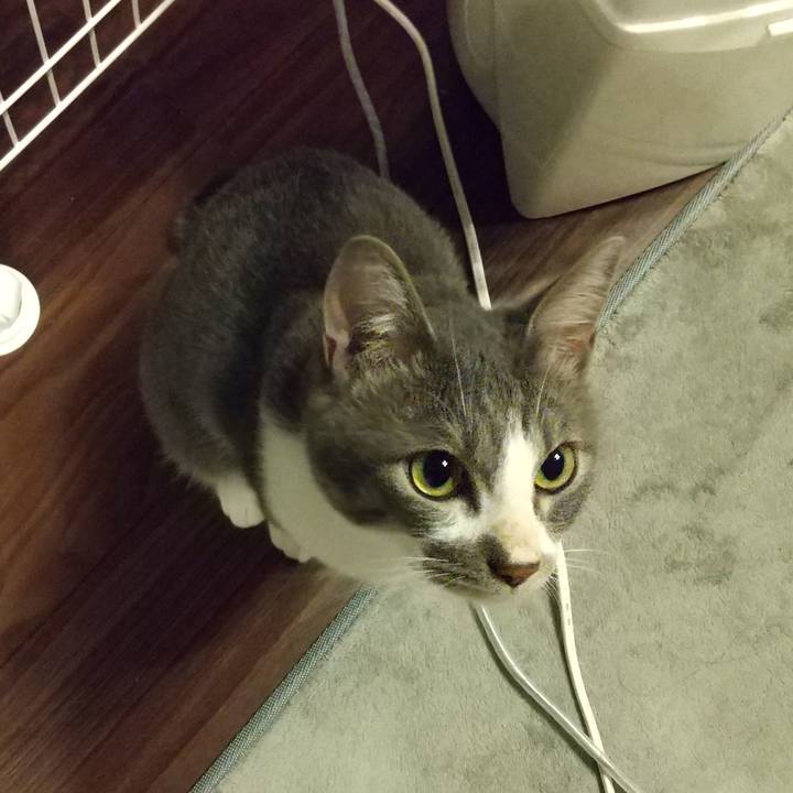 A18c93f0 fc6a 435e 8c50 70710e38cb11 1597590383438