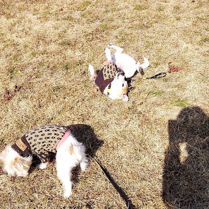 A18ca5f0 0c2b 4ccd 8c19 3adb9653da0a 1548568167339