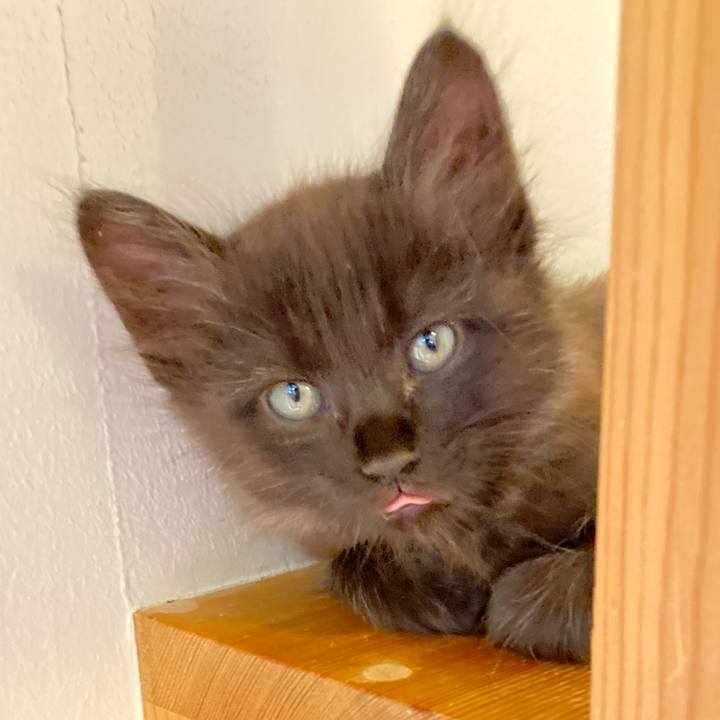 A18cc55d b43c 4a8f b28f 6dbe445aa598 1698207375441