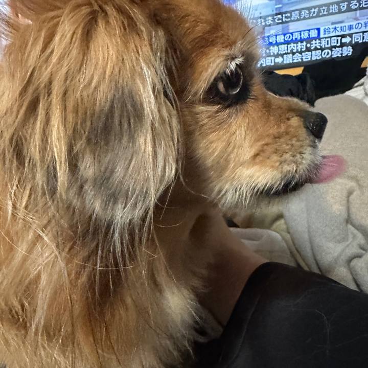 A18ce3e3 dd91 45a4 8119 d7afb1afc837 1764279412181