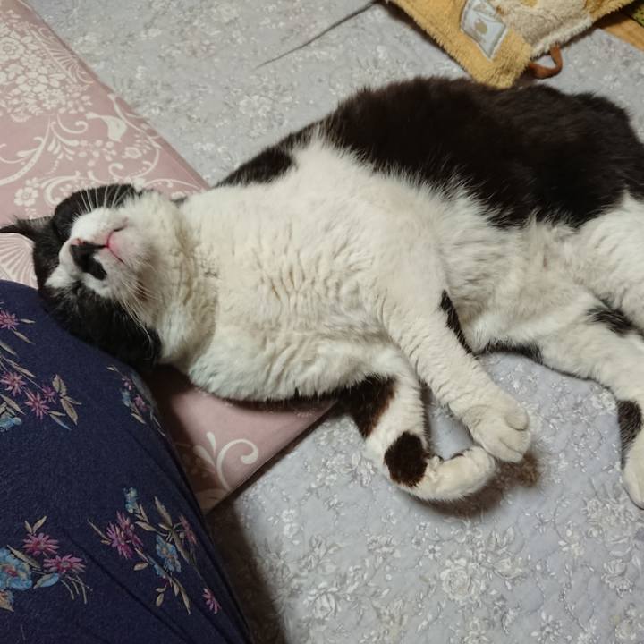 A18d2032 bdf1 421e b87e 942237dd36a7 1652002152605