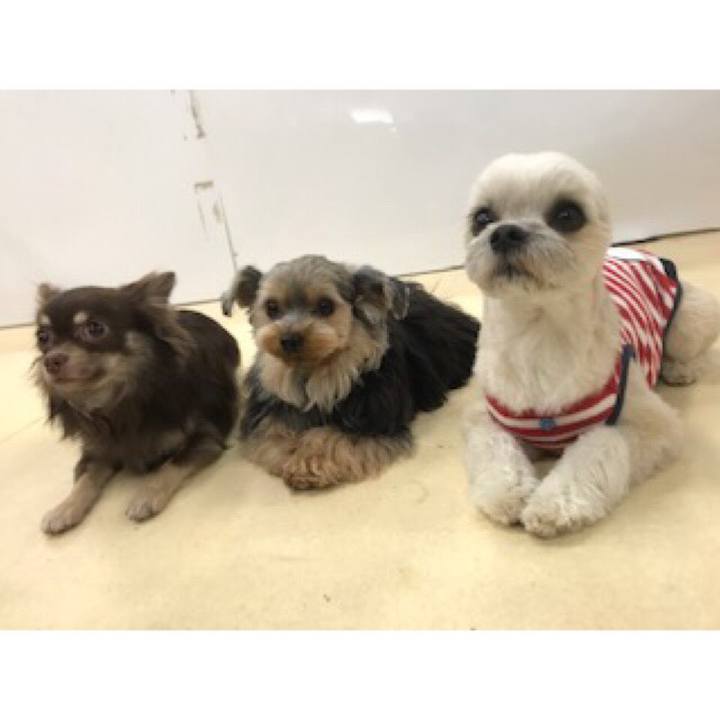 A18d2f6e f27c 4c81 b425 1f9258444f7c 1552562122054