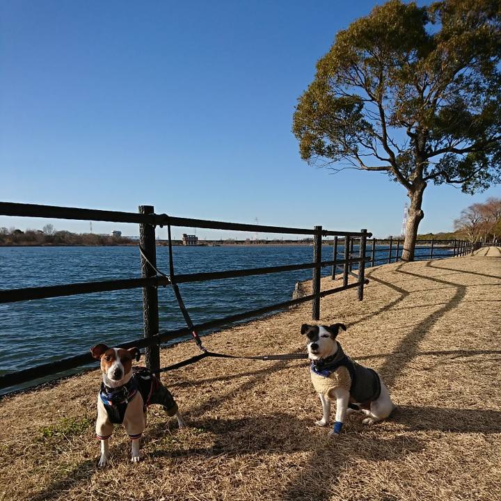 A18d308e 8442 46f5 94f7 b49d2969c24d 1546237777435