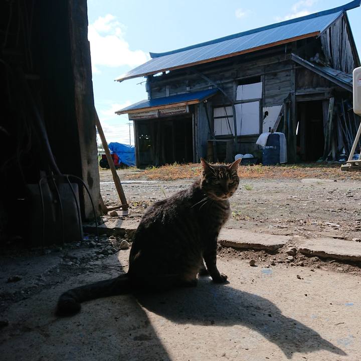 A18d4b89 e0a3 4cef a1ab ae44dc67e256 1662338124682