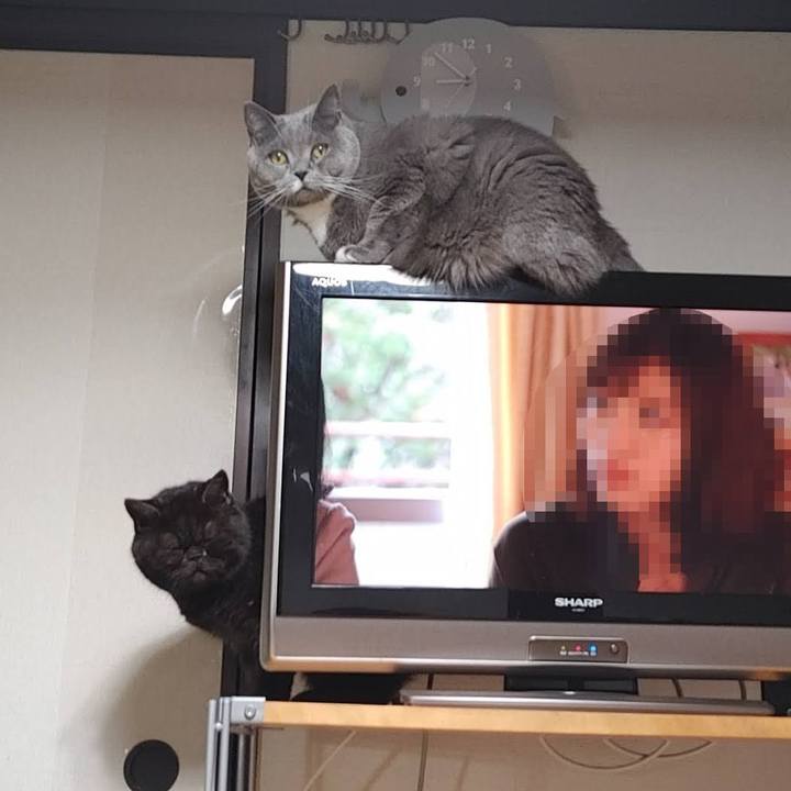 A18d7330 f6e2 4792 afe6 74f891e4dfc3 1646913325714