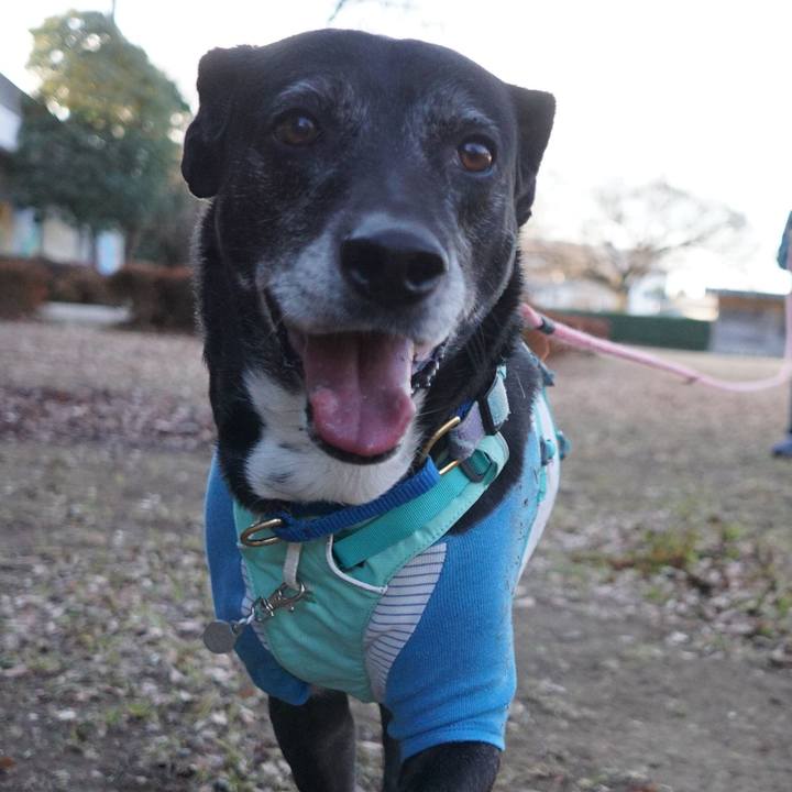 A18d7934 02d8 4f77 8e34 9de9e424c1af 1769652039220