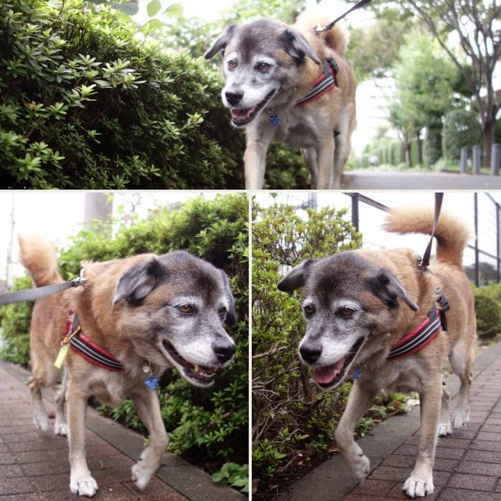 A18d8d35 750d 45b7 babd 8d8e44693b13 1537581241309