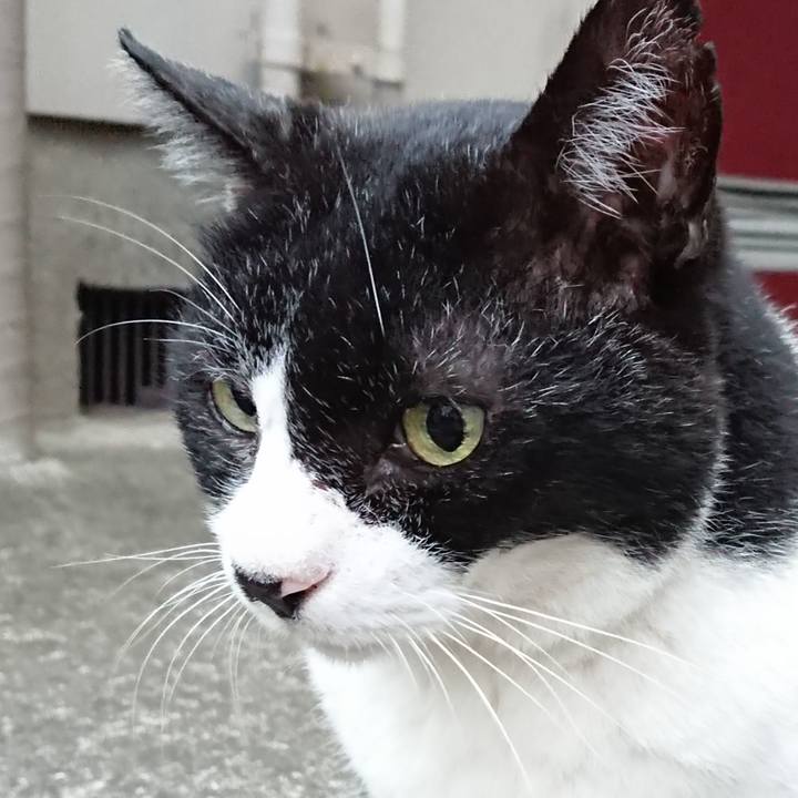 A18dc56e 135d 4e28 8587 248a0a112046 1662903846576