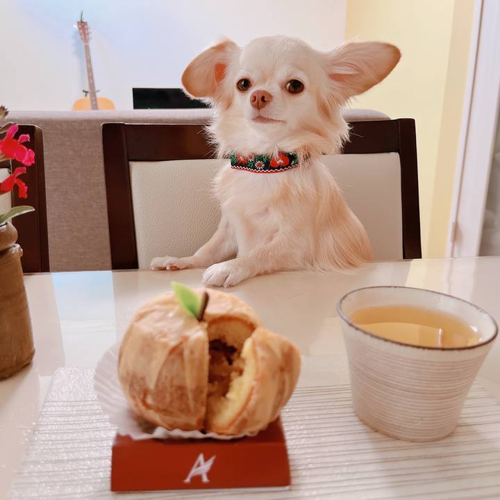 A18ddeb1 d2bc 4fb7 9db9 1f6f44212f8c 1668514890299