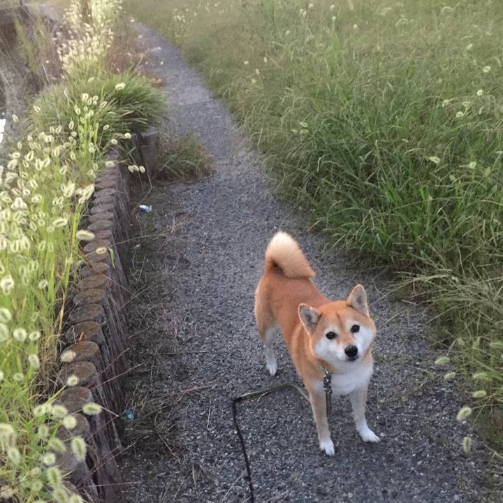 A18ded3d 97b9 4142 bab7 ce81b60bdb88 1539006666837