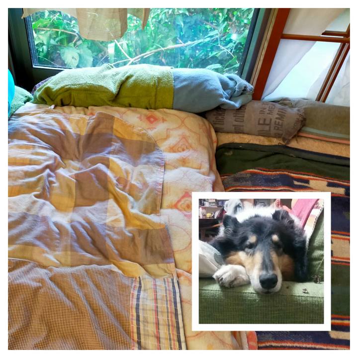 A18e364e 0715 49d5 af7a ecb5bd7c598e 1628290549925