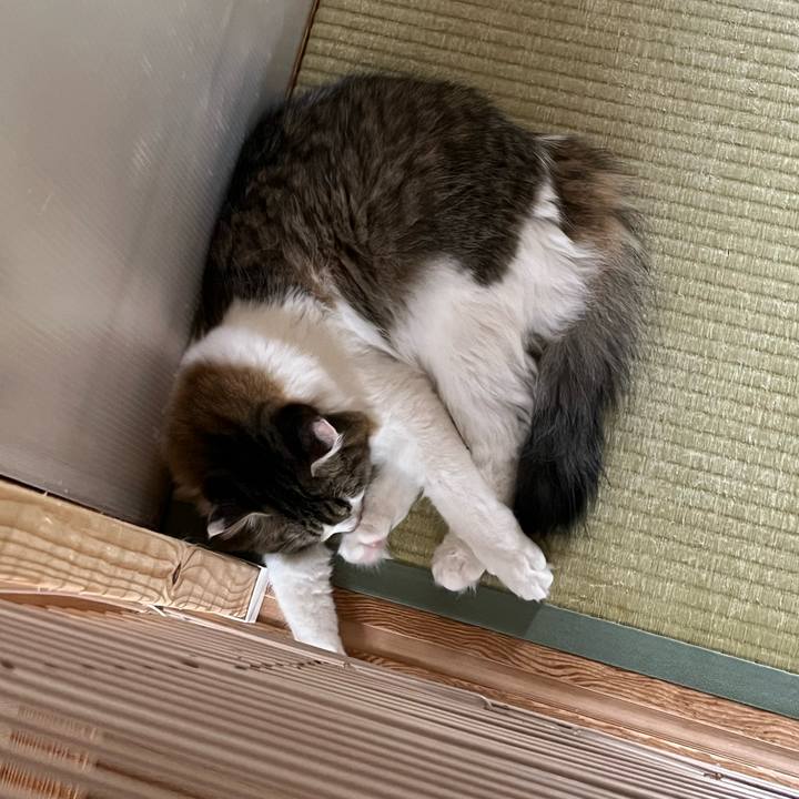 A18e47d7 c164 4c87 9e5e bb93e1da9a32 1726983256460