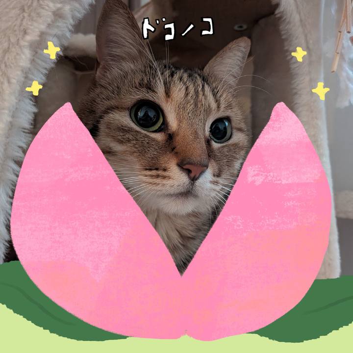 A18e8423 1fc5 4dea bb7e 2f46488010a3 1772120665507