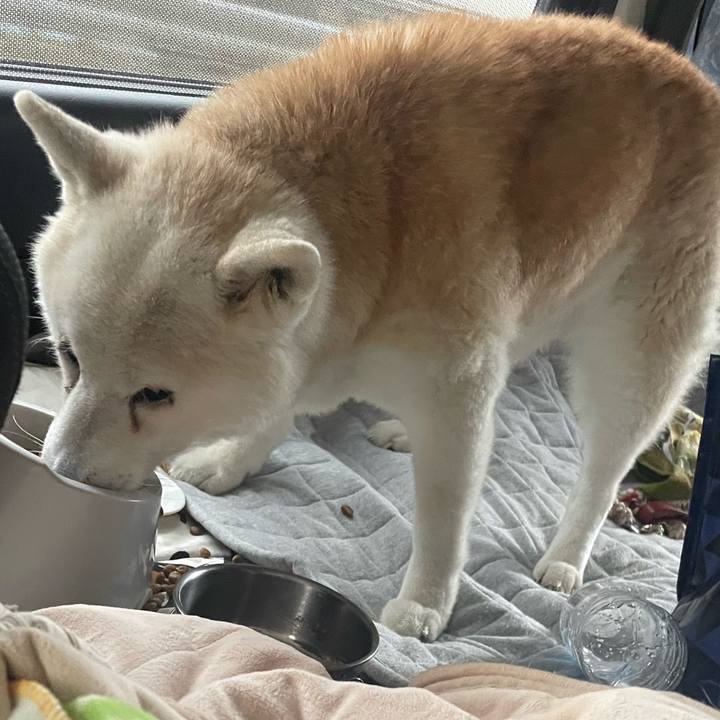 A18ead47 d93a 42a4 b5da 9cd737e4d560 1735902173940