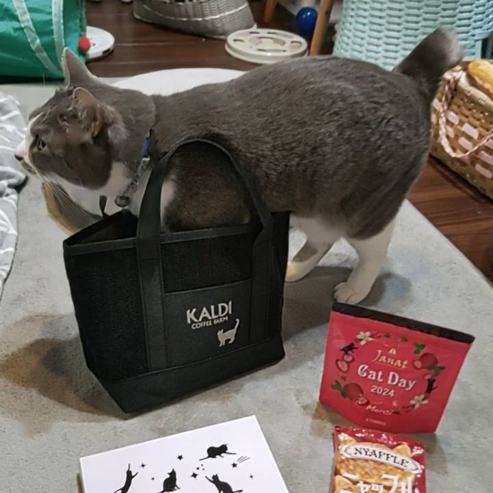 A18ec1ea 3f33 4f5c 9724 65ab6faaab92 1708770675813