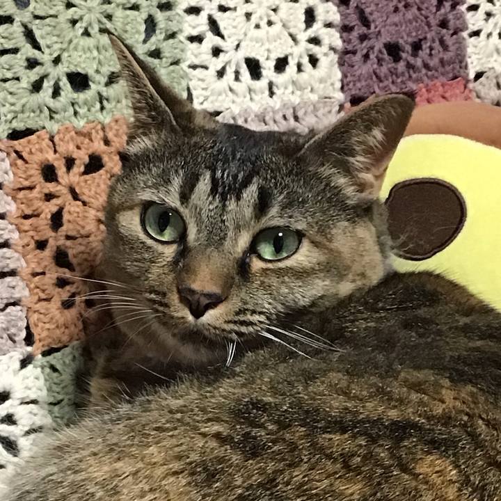 A18ec3a7 cdcc 48da 9728 12511d78915f 1722679185309