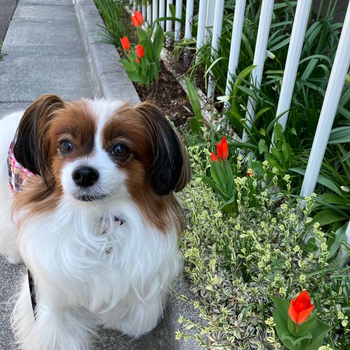 A18f0382 8bbc 4e80 9008 3683eea91cda 1745214417326