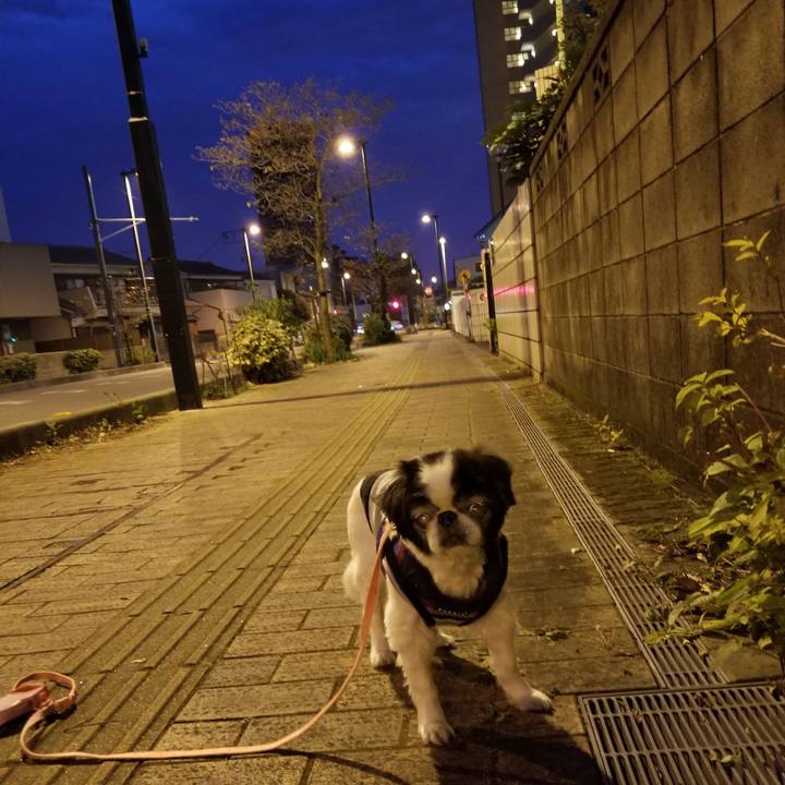 A18f0f83 ff46 40d0 8f4e 6321e658f851 1605822420582