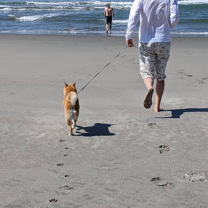 A18f338f bca5 41f3 890f c240031f2478 1655012295960