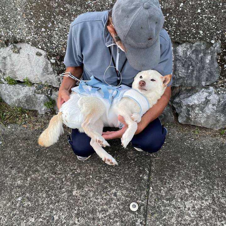 A18f9520 d691 4652 bd1a 92c2e85b32a3 1663683355598