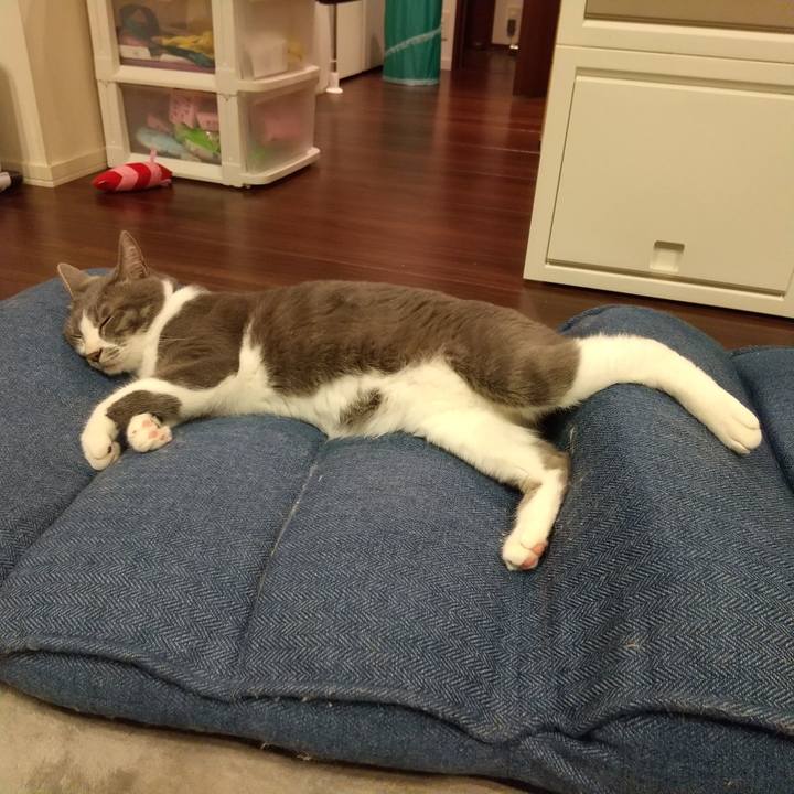 A18f97ff d70b 493e 97fa 5d1d4def564a 1620739254154