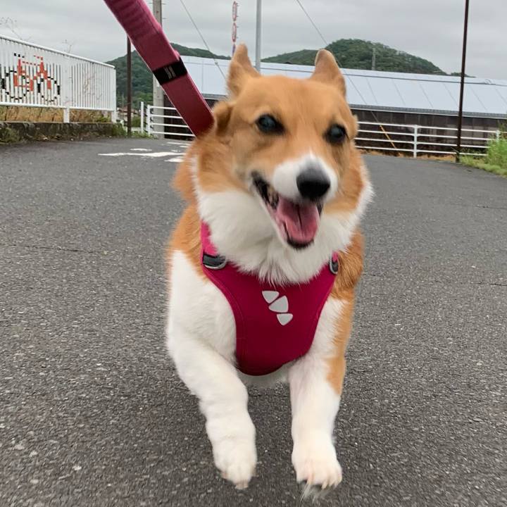 A18fb81f ee0a 47a6 a9dc 8e6b703d775e 1715069083261