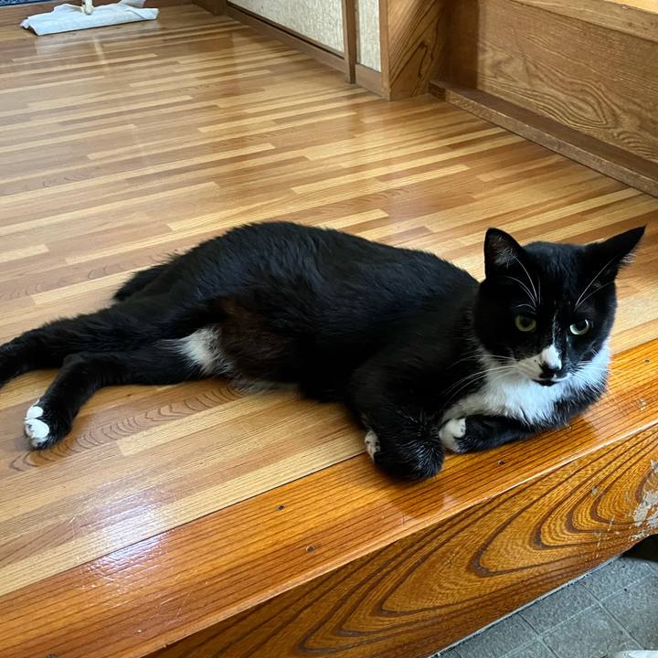 A18fc356 1210 4738 983e db8a770fe085 1693453134566