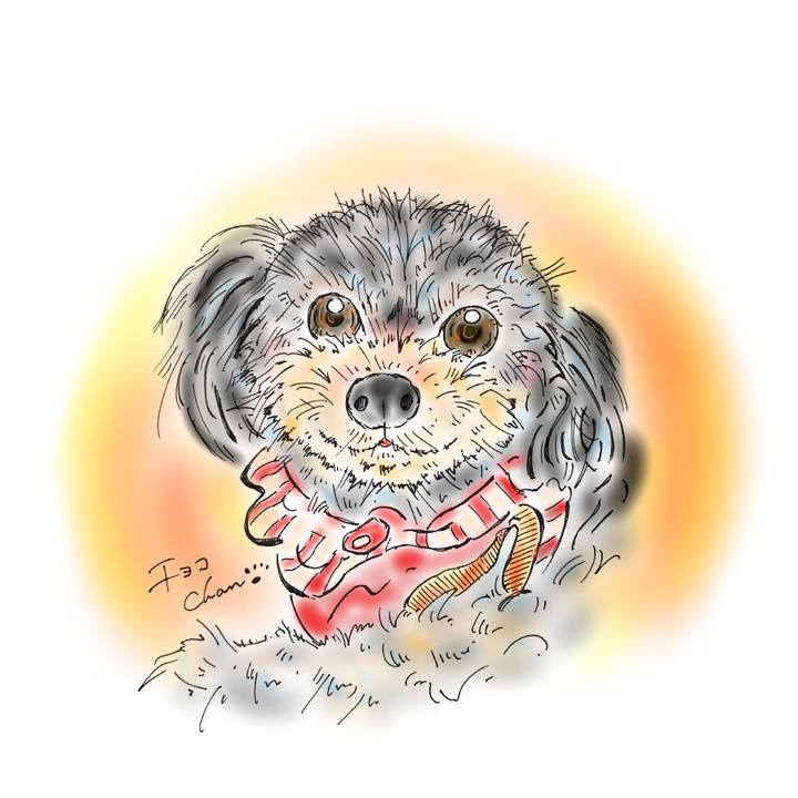 A18fc857 d0f1 4397 af67 c95f6efc5418 1582036303466