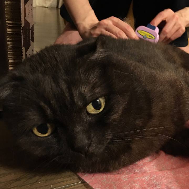 A190231f c61a 4b74 b90b e182bed92399 1525184552642