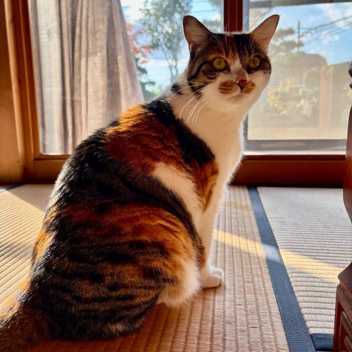 A1906b28 39fa 4a94 9242 530db6b2ef62 1733183628608