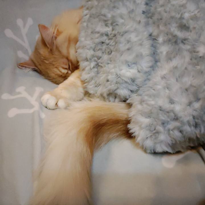 A190a60b e1cb 4064 b6e6 69987a797771 1667999995310