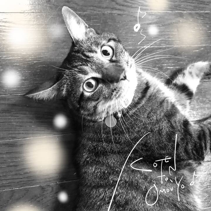 A190cef2 8e0e 4aa3 b43e 67c06f54f151 1624402301800