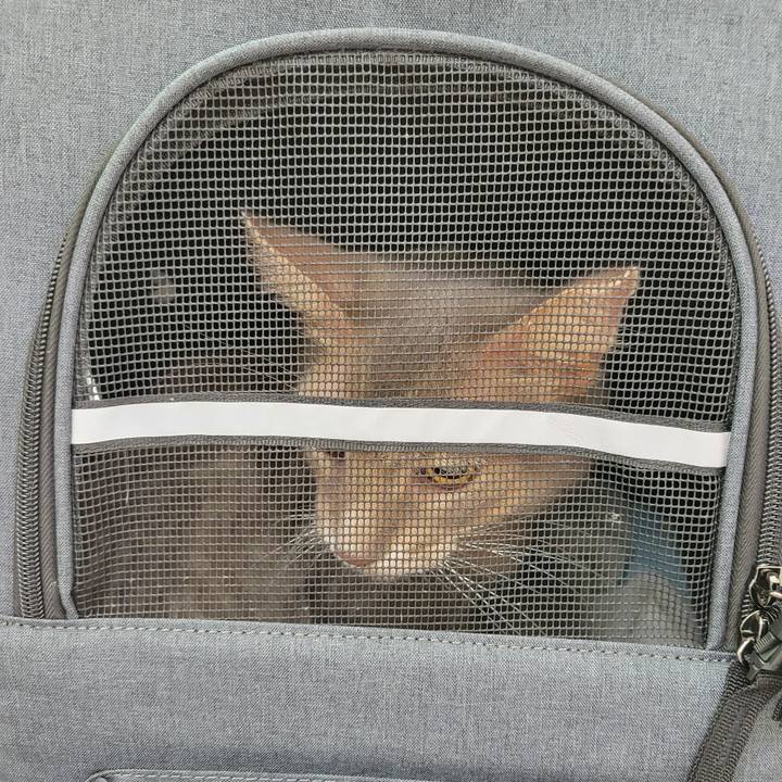 A190dd76 1e4e 4ee5 b7f6 2c46c8a724d3 1663909249207